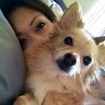Chai Chien