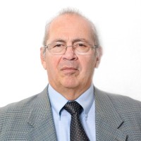 Nelson J Zerpa T