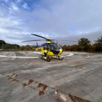 Yolanda Vicente Pérez