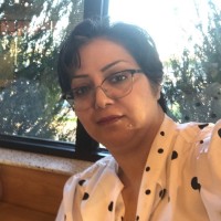 Yalda N. Hamidi