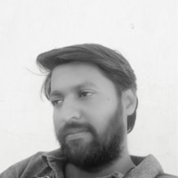 Chintu N