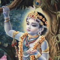 Ravi P