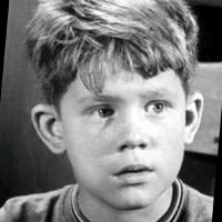 Shane White