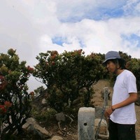 Miharja Hadinata