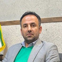 Ehsan Salimi Borna