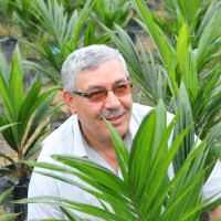 Mohamed Elgharous