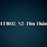 Viet Thao