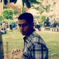 mostafa hameed