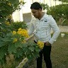 ياسر الحيالي