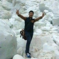 张紫阳