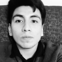 Brayan Chavez Loayza