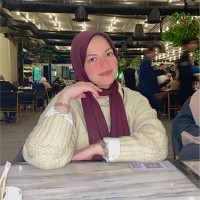 Nourhan Hussien