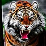 Tiger Roar