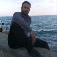Waleed salim