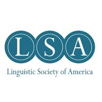 Lsa Intern