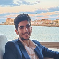 Baher Shahin