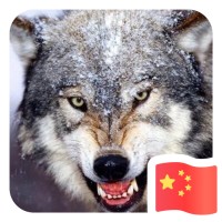 陈世民