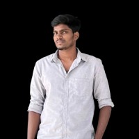 Sathiya Narayanan M
