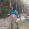 Kafuko Gafrey