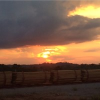 Godfried van der Horst