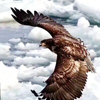 张新明