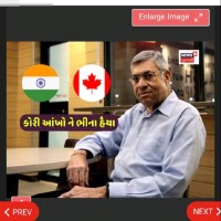 Hemant M Shah