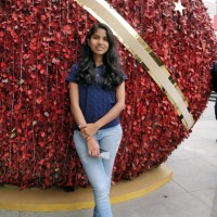 Shreeraksha S N