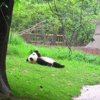 张修铭