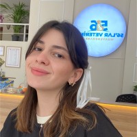 Şehrinur Çavuş