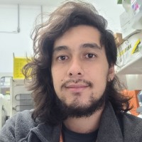 Gabriel Sonoda