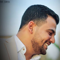 Ahmed Hassan Mohamed Elsapagh