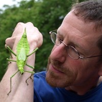 Dave Clarke