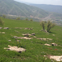 Banaz Zangana