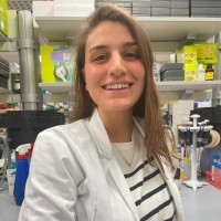 Irene Ticozzi