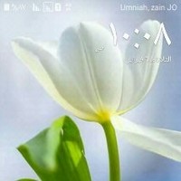 سلامه الدالى