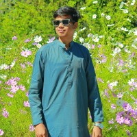 Talha Faizan