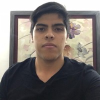 Jose Luis Fong Bascones