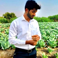 Ashish Gonjare