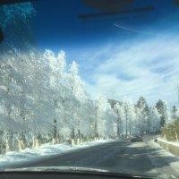 谭海龙