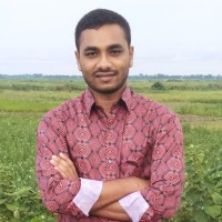 MM HASAN