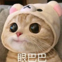 金宗浩