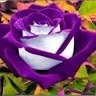 Vinoth Babu