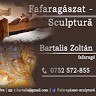 Zoltán Bartalis