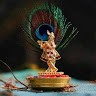 Bhadresh Modh