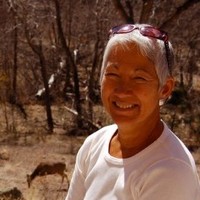 Lenora Hay