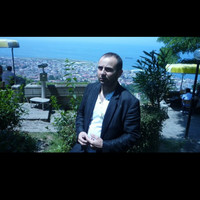 Senol Yavuzyigitoglu