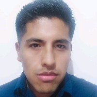 Abner David Michel Limachi