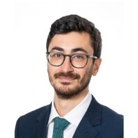Emanuele Giannetti