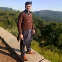 Waleed Amjad