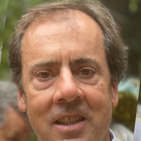 David Pisani